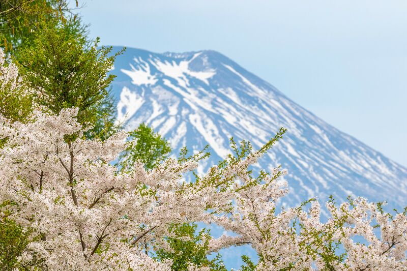 Setsu Spring: What is Happening in May in Niseko?
